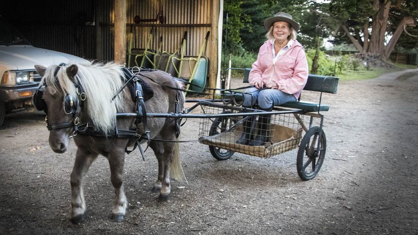 A new discovery in fried chicken